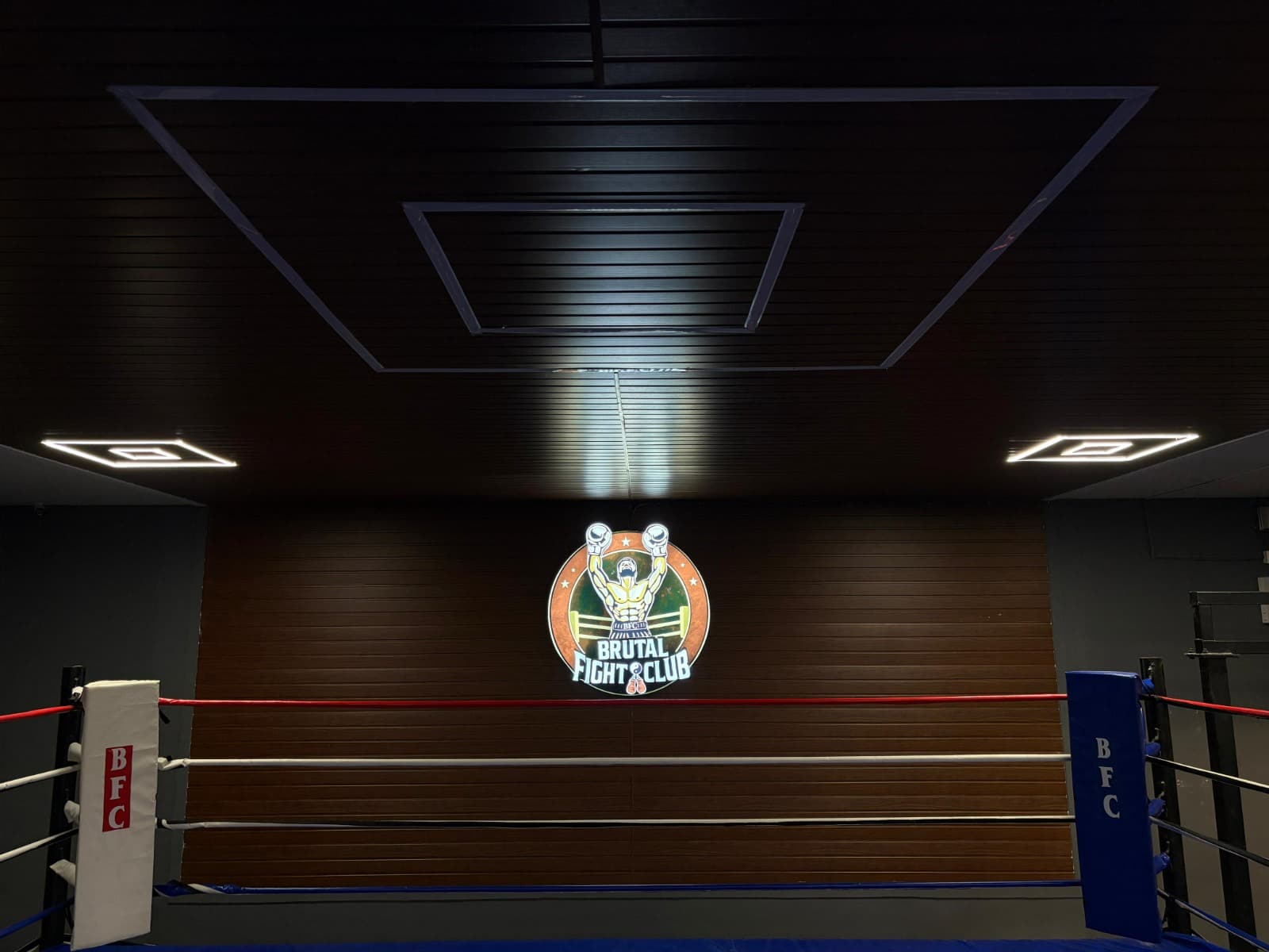 Brutal Fight Club boxing ring
